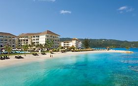 Secrets Wild Orchid